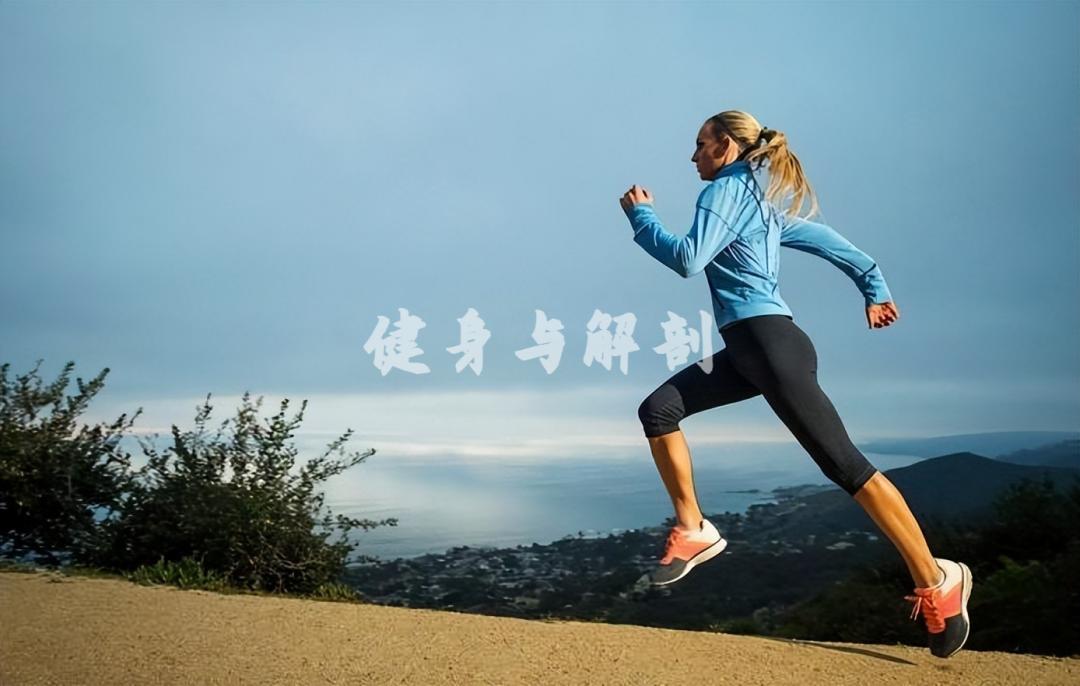 运动前吸纯氧_健身房运动前有氧_运动前吸氧气