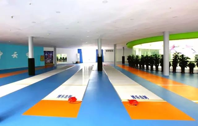 辽宁击剑协会_辽宁幼儿击剑比赛冠军视频_儿童击剑比赛冠军