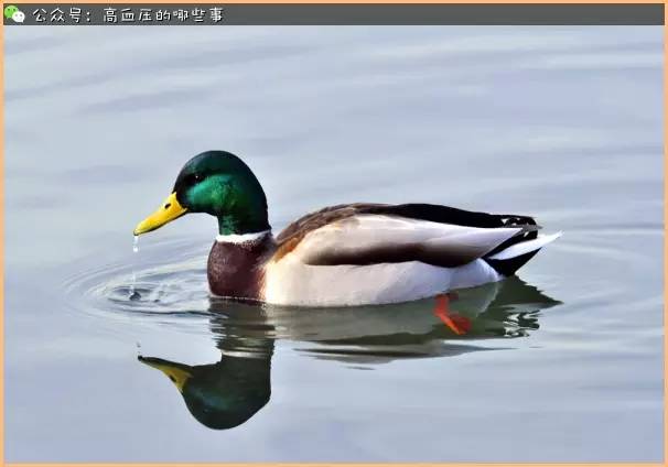亚热性湿疹症状_湿热属于亚健康吗_湿热亚健康