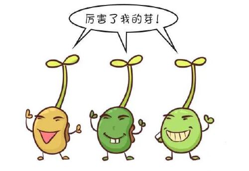 恶心的营养价值及功效与作用_恶心食物排名_恶心营养餐