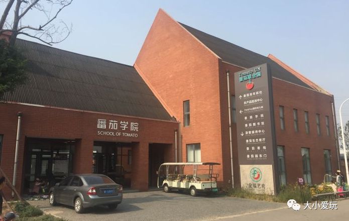 篮球冠军蹦床是谁_蹦床篮球冠军_美国蹦床篮球