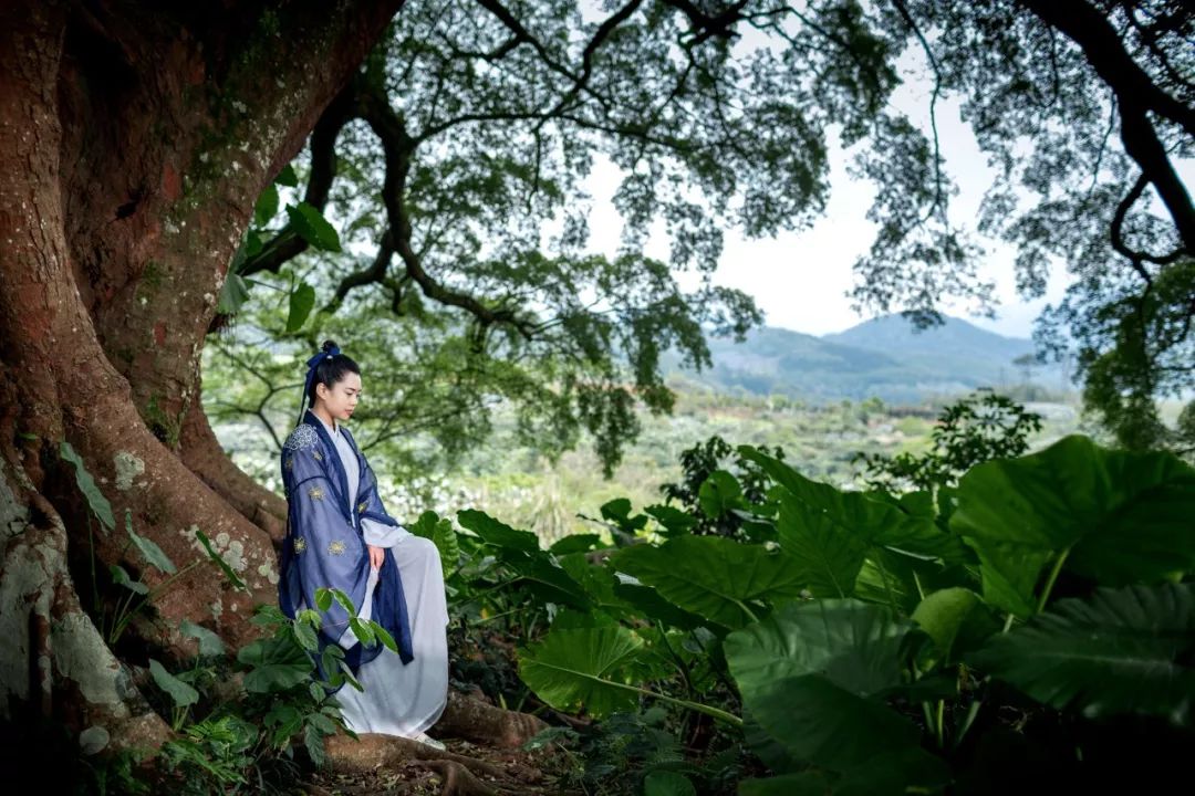 婚纱森林_古堡森林婚纱照准备_古堡婚纱照片