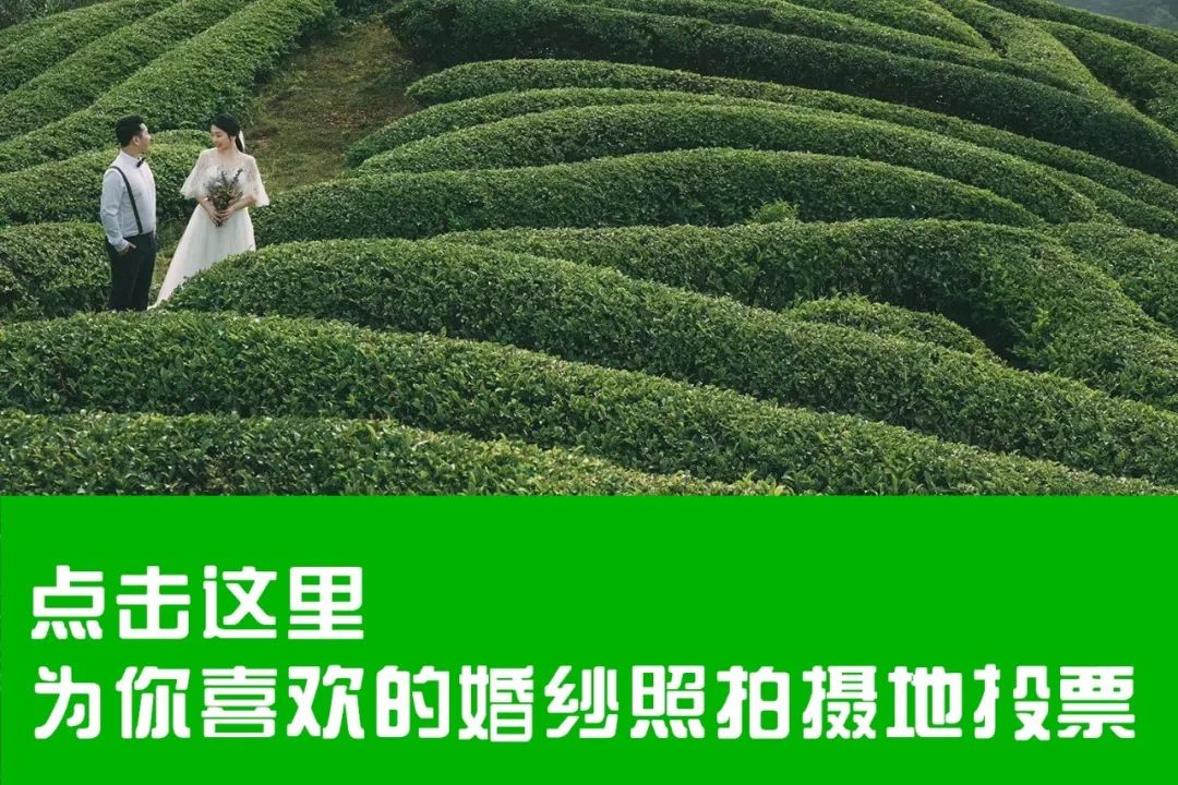 古堡婚纱照片_古堡森林婚纱照准备_婚纱森林