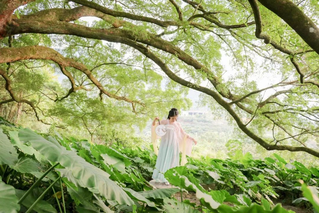 古堡森林婚纱照准备_古堡婚纱照片_婚纱森林