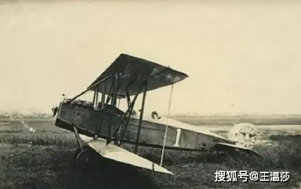 东京游泳奥运冠军项目介绍_东京奥运游泳比赛冠军_东京奥运游泳项目冠军