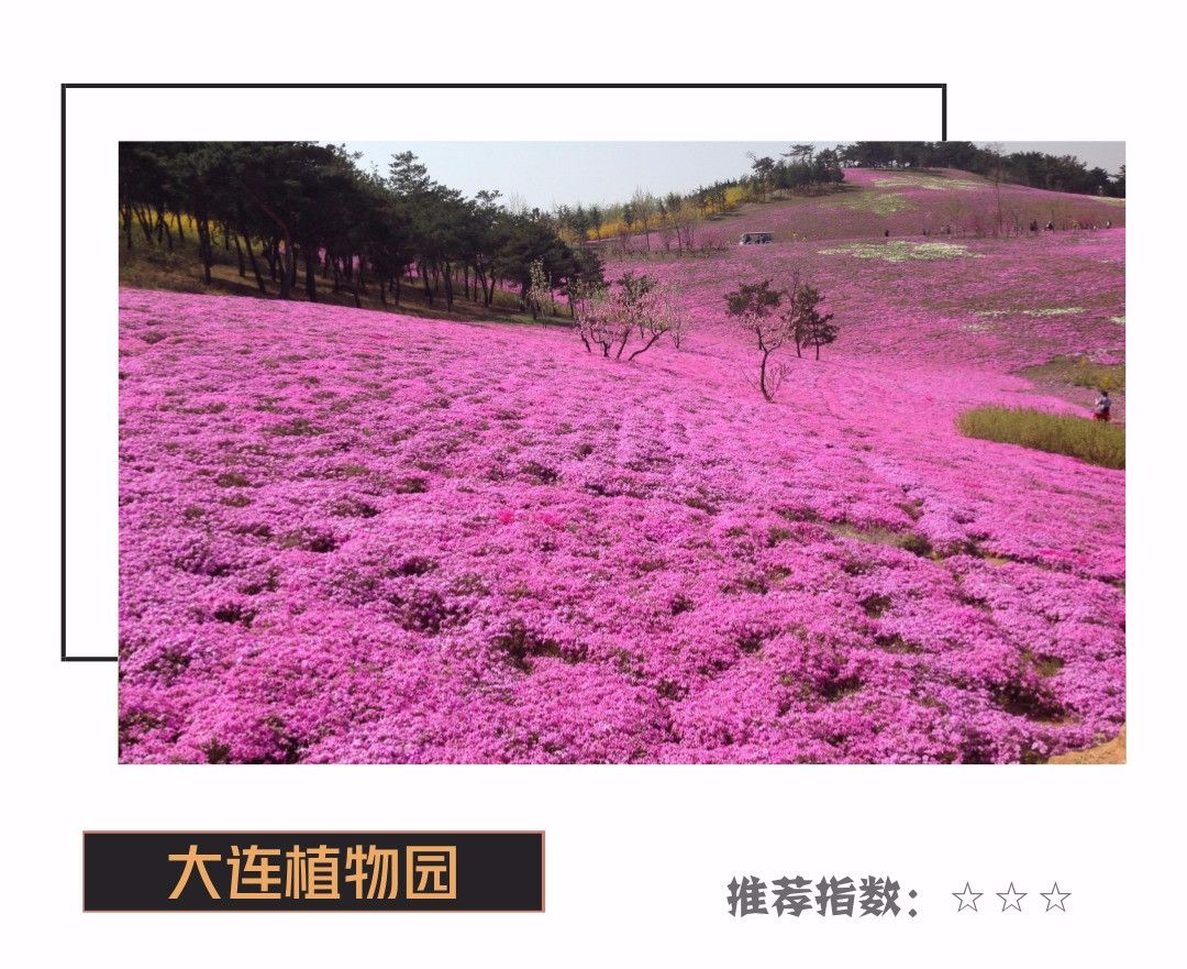 婚纱照复古_复古外景婚纱照山景_婚纱外景地