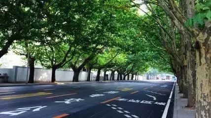 婚纱外景地_复古外景婚纱照山景_婚纱照复古