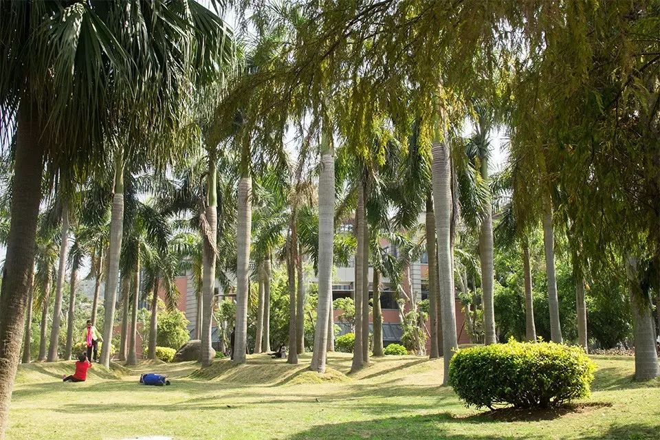复古外景婚纱照山景_婚纱照复古风_婚纱照复古风格种类图片大全