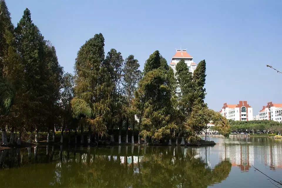 婚纱照复古风_婚纱照复古风格种类图片大全_复古外景婚纱照山景