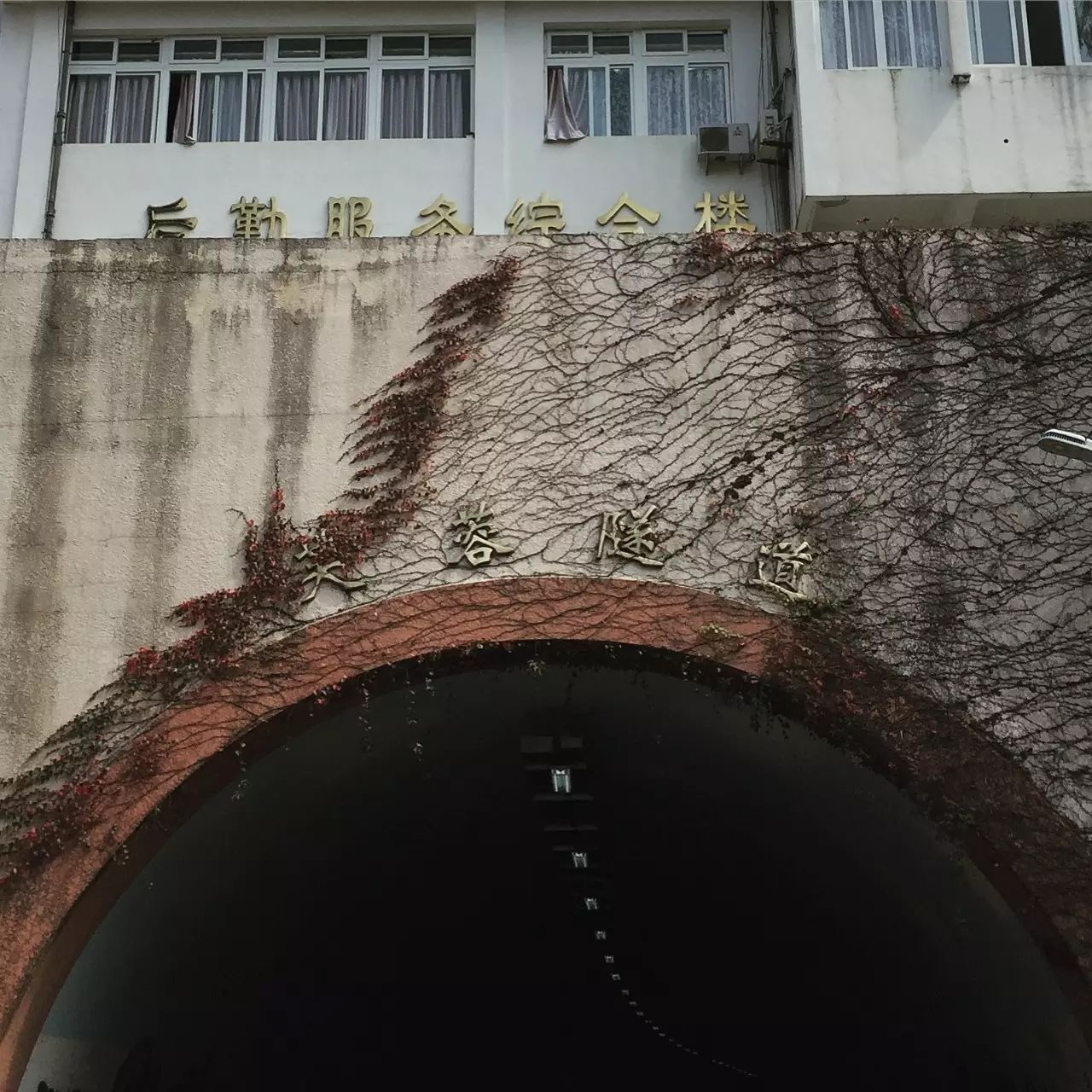 婚纱照复古风_复古外景婚纱照山景_婚纱照复古风格种类图片大全