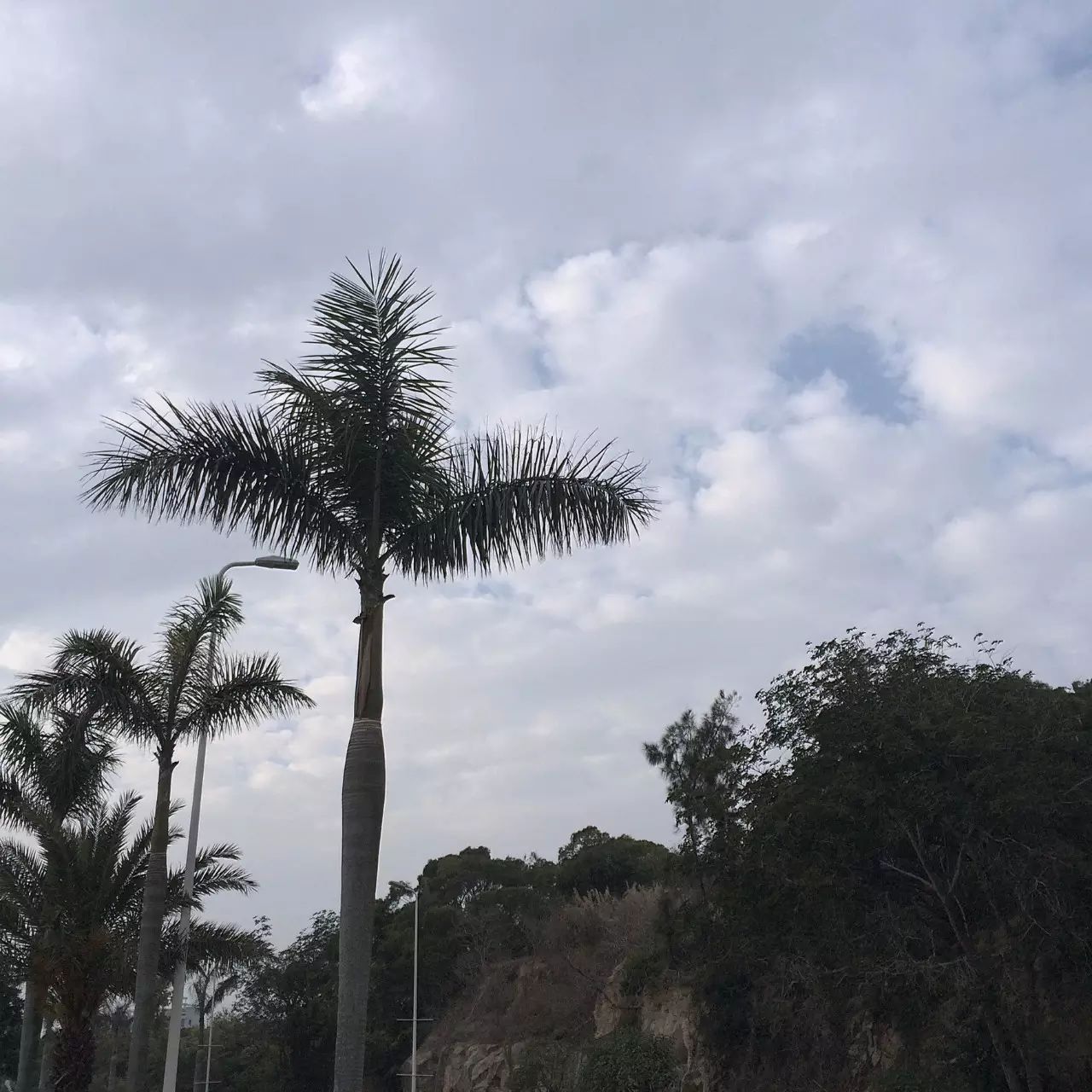 婚纱照复古风格种类图片大全_复古外景婚纱照山景_婚纱照复古风