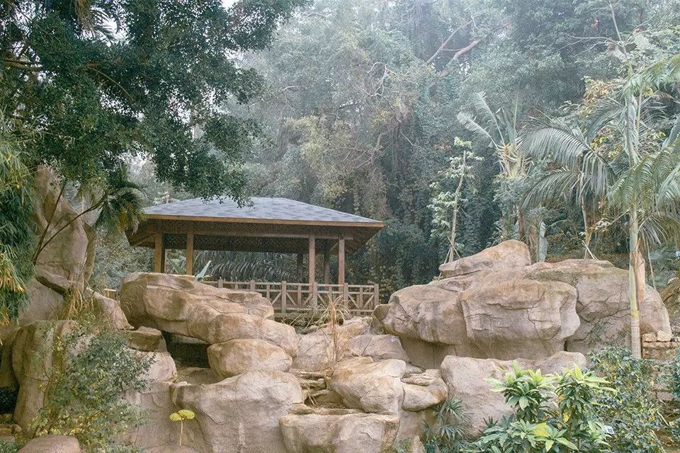 婚纱照复古风格种类图片大全_复古外景婚纱照山景_婚纱照复古风