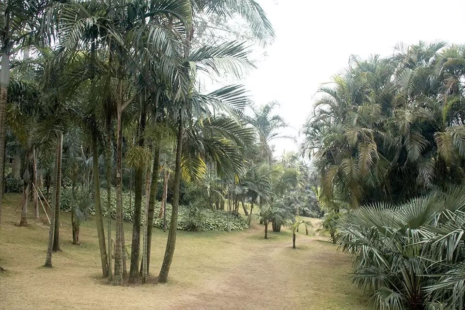 婚纱照复古风_复古外景婚纱照山景_婚纱照复古风格种类图片大全