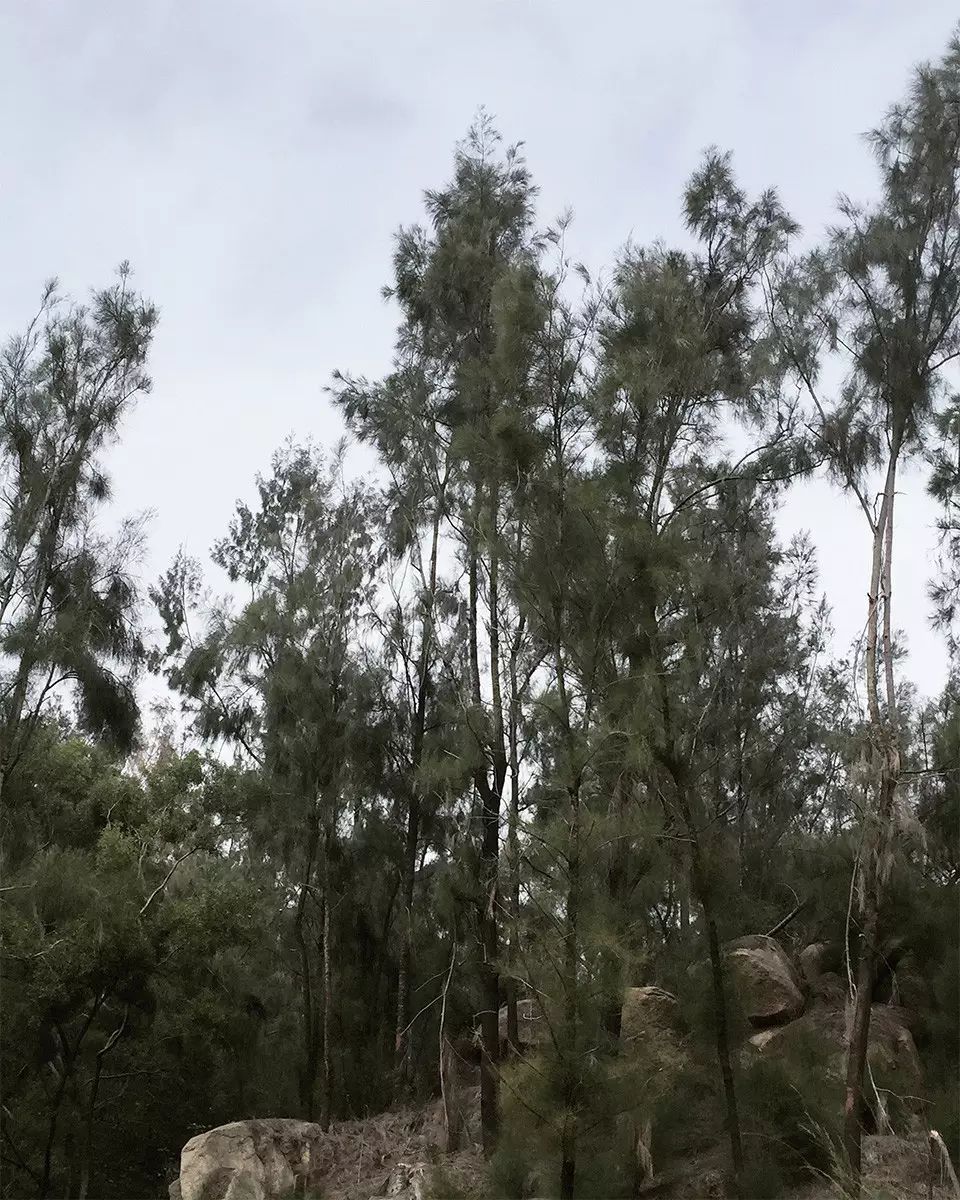 婚纱照复古风格种类图片大全_婚纱照复古风_复古外景婚纱照山景