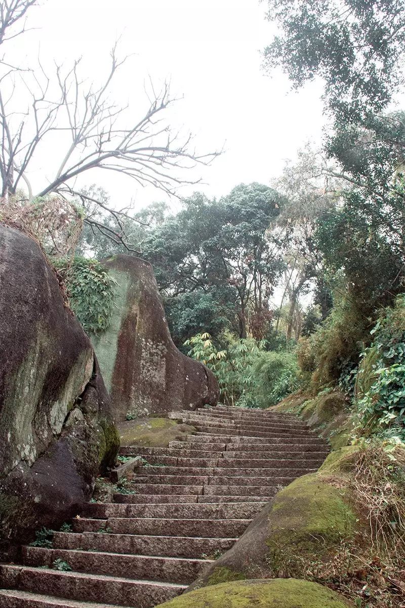 复古外景婚纱照山景_婚纱照复古风格种类图片大全_婚纱照复古风