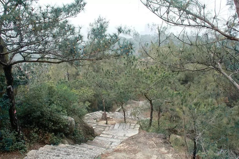 复古外景婚纱照山景_婚纱照复古风_婚纱照复古风格种类图片大全