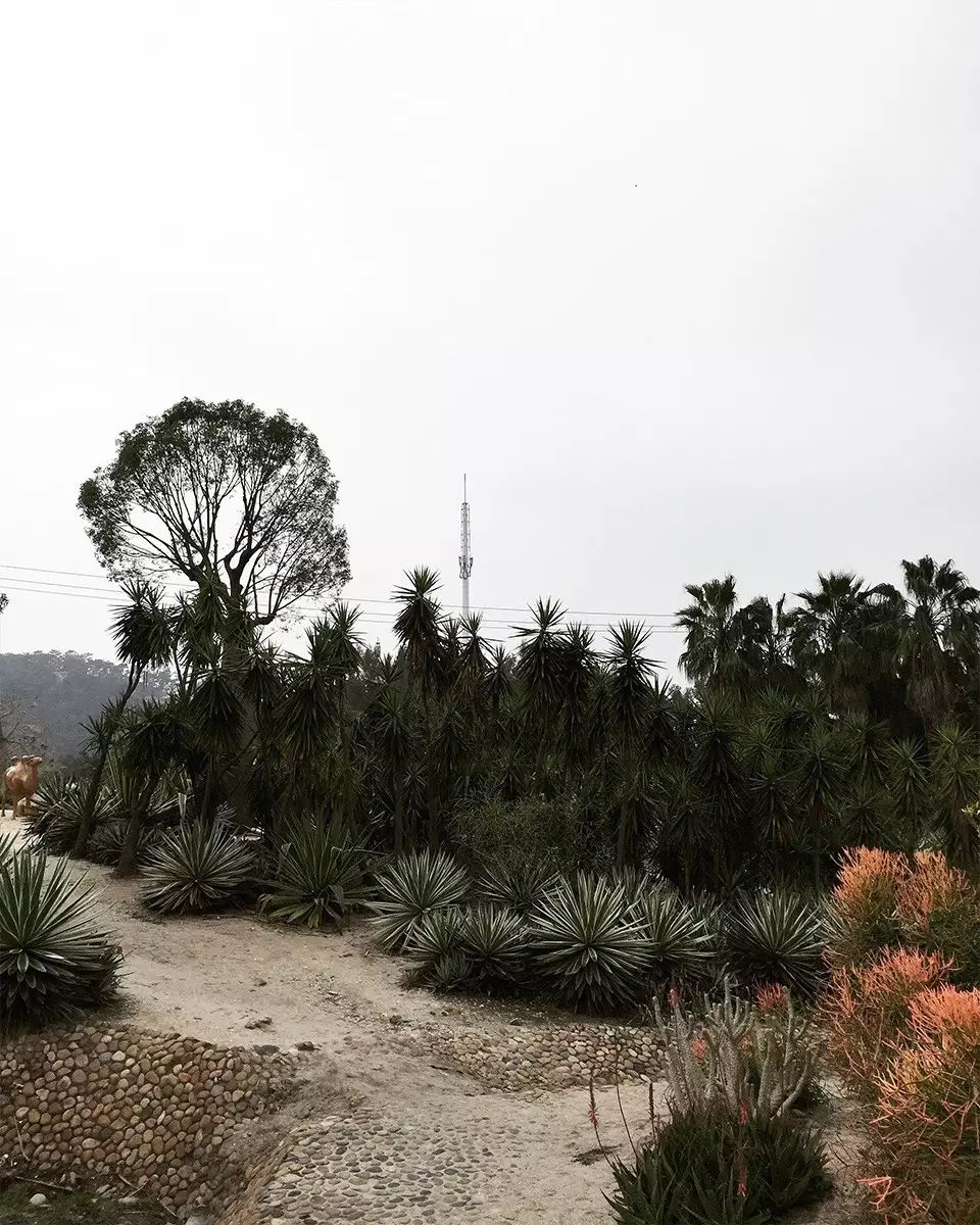 婚纱照复古风格种类图片大全_复古外景婚纱照山景_婚纱照复古风