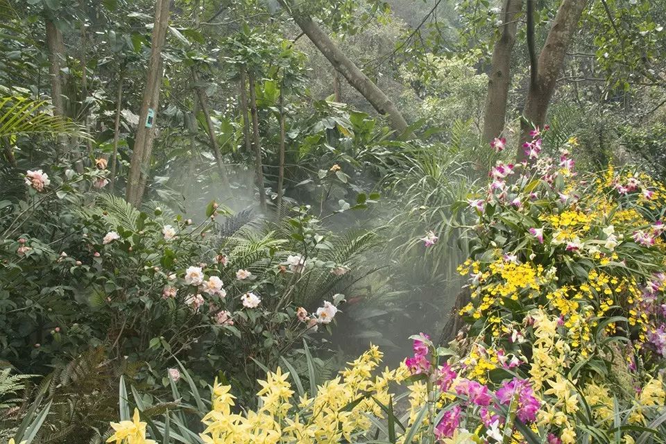 婚纱照复古风_婚纱照复古风格种类图片大全_复古外景婚纱照山景