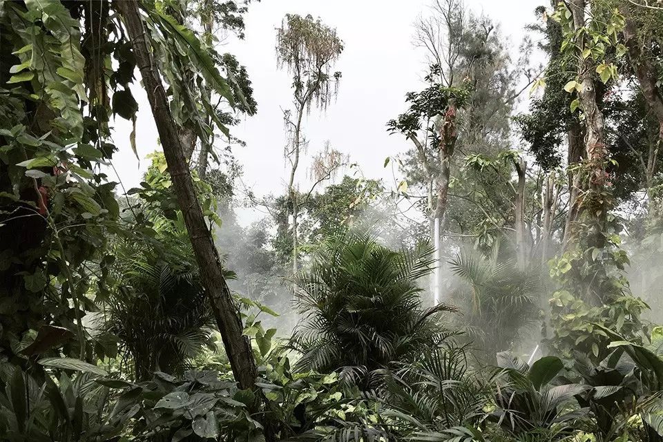婚纱照复古风_婚纱照复古风格种类图片大全_复古外景婚纱照山景