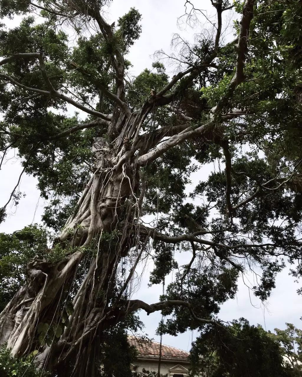 复古外景婚纱照山景_婚纱照复古风_婚纱照复古风格种类图片大全