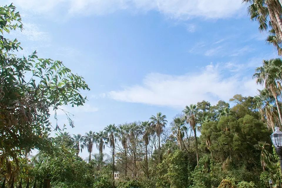 婚纱照复古风格种类图片大全_婚纱照复古风_复古外景婚纱照山景
