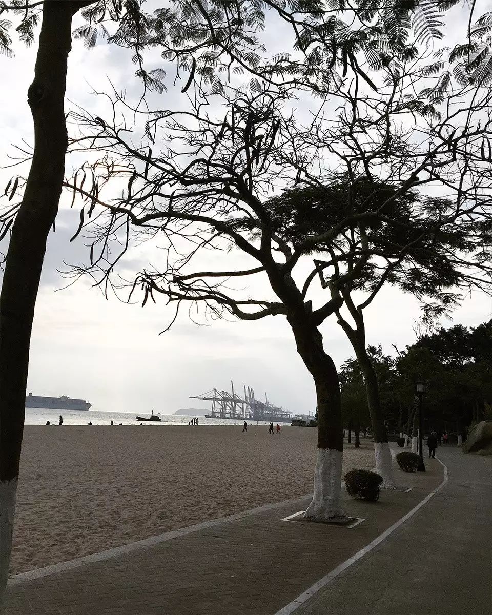 婚纱照复古风格种类图片大全_婚纱照复古风_复古外景婚纱照山景