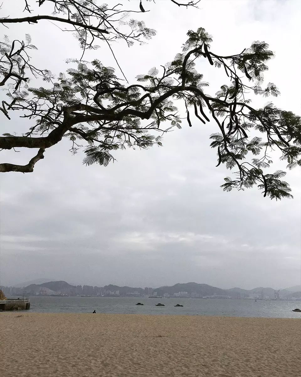 婚纱照复古风格种类图片大全_婚纱照复古风_复古外景婚纱照山景
