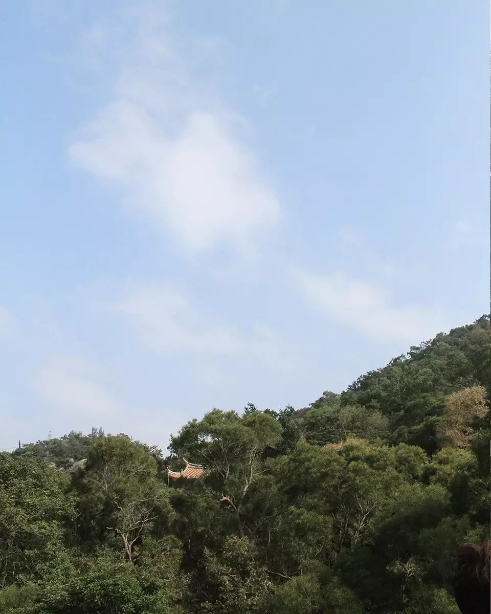 复古外景婚纱照山景_婚纱照复古风格种类图片大全_婚纱照复古风