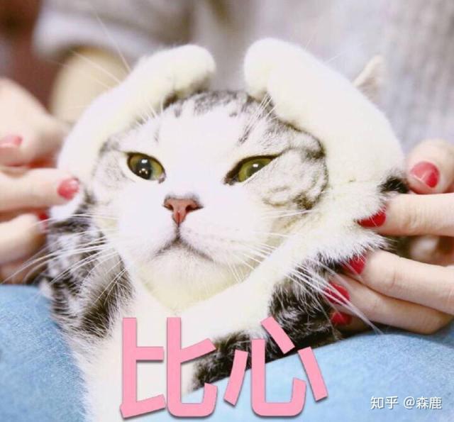 健身的明星男_明星健身前后对比_男明星健身前后