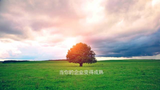 90后白手起家创业点子利润_90后自己创业_90后如何创业白手起家