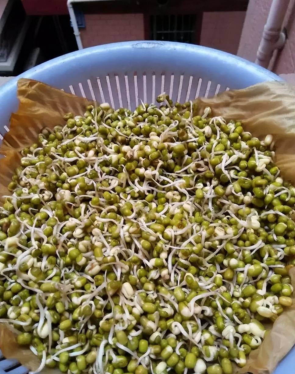 黄豆芽生活小窍门_家常黄豆芽的生法_芽黄豆芽怎么做