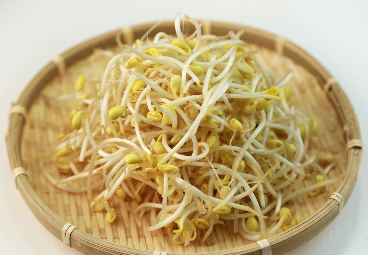 家常黄豆芽的生法_芽黄豆芽怎么做_黄豆芽生活小窍门