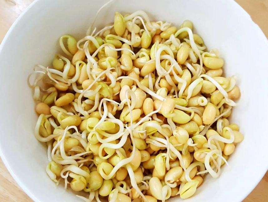 家常黄豆芽的生法_芽黄豆芽怎么做_黄豆芽生活小窍门