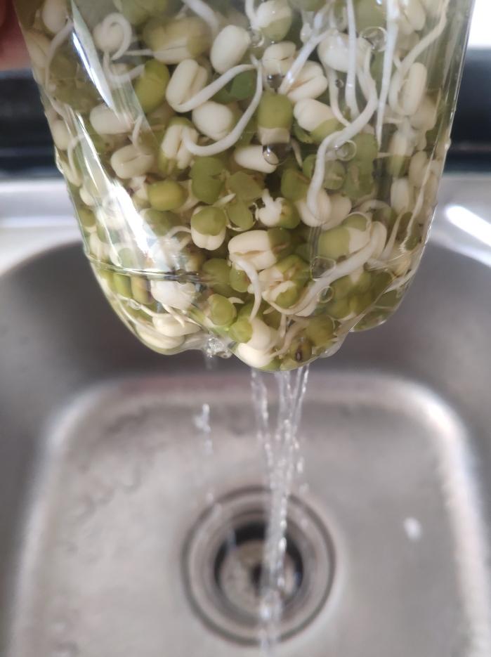 芽黄豆芽怎么做_家常黄豆芽的生法_黄豆芽生活小窍门