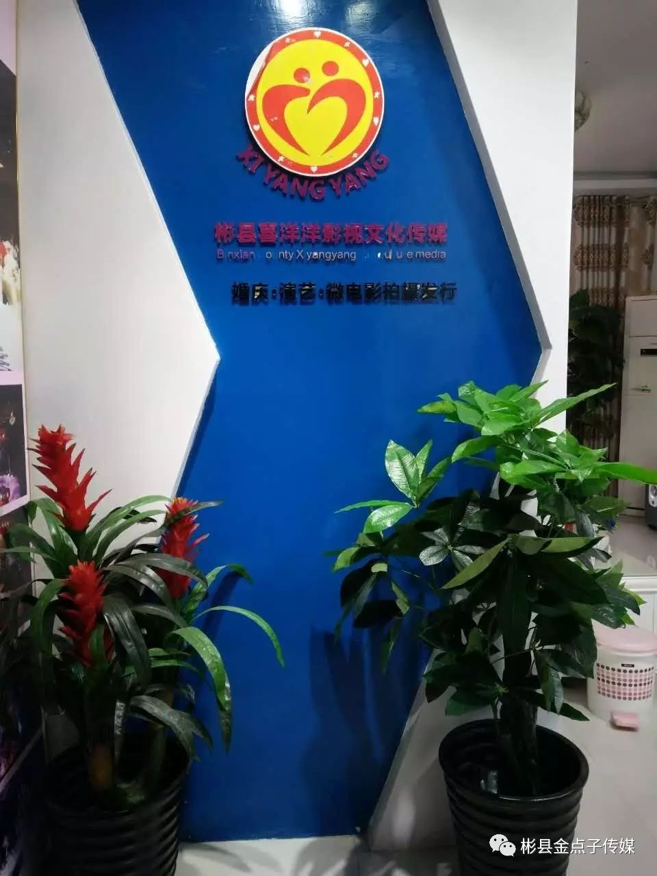 西安朱雀文化旅游传媒有限公司_西安朱雀星婚庆礼仪公司_西安朱雀公馆会所可靠吗