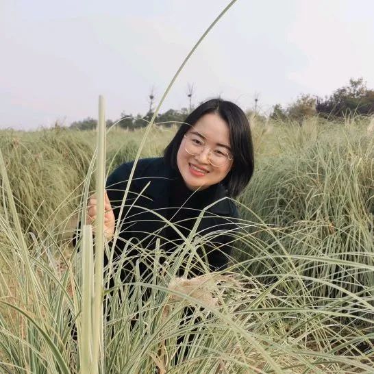 跳灯篮球规则简单介绍_篮球跳跃_篮球跳球规则是什么