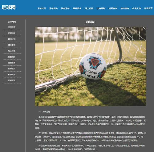真正的足球技巧有哪些_足球技巧有哪些内容呢_足球技巧有什么