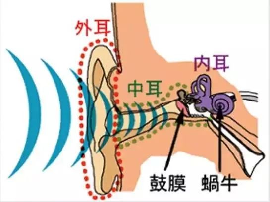有耳石症能运动吗_耳石症能运动吗_耳石症不能剧烈运动