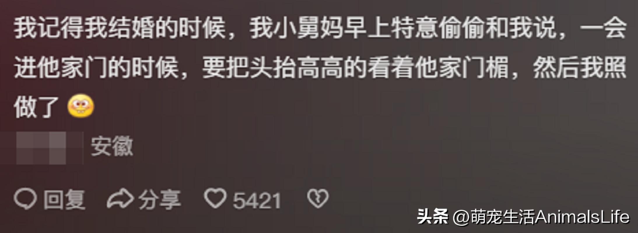恐怖婚礼电影_恐怖婚礼的习俗_恐怖的婚礼的视频