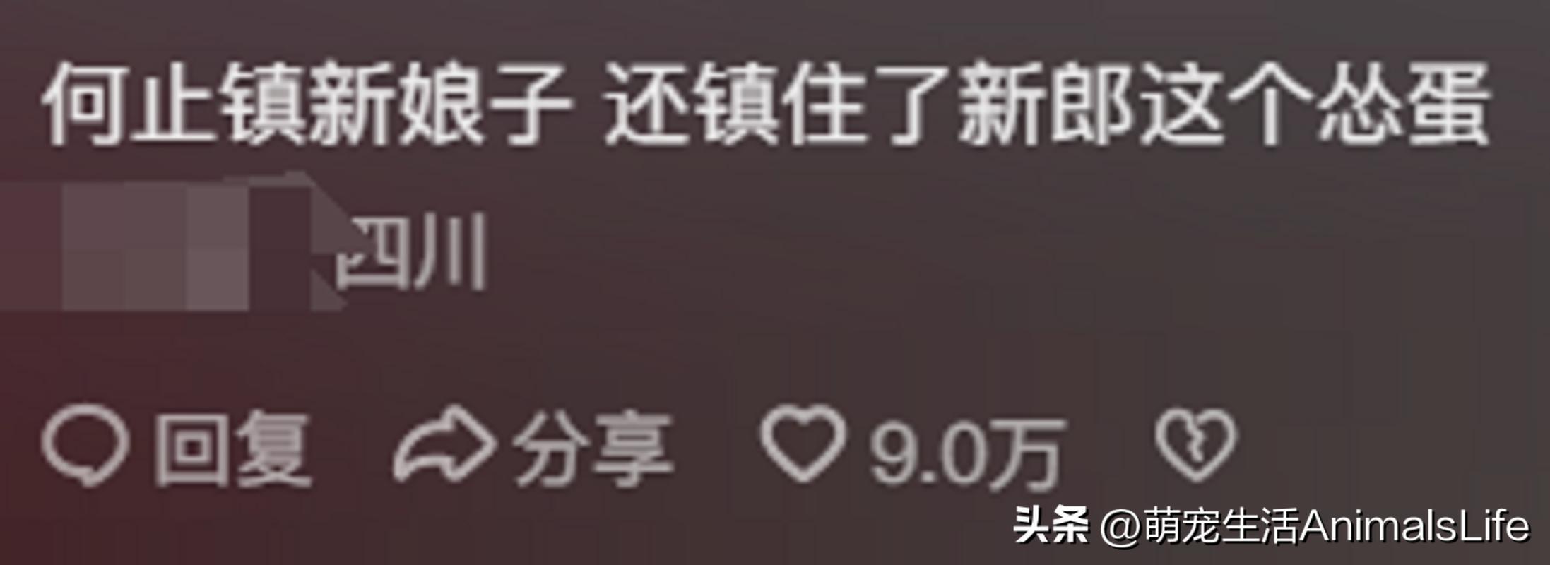 恐怖婚礼的习俗_恐怖的婚礼的视频_恐怖婚礼电影