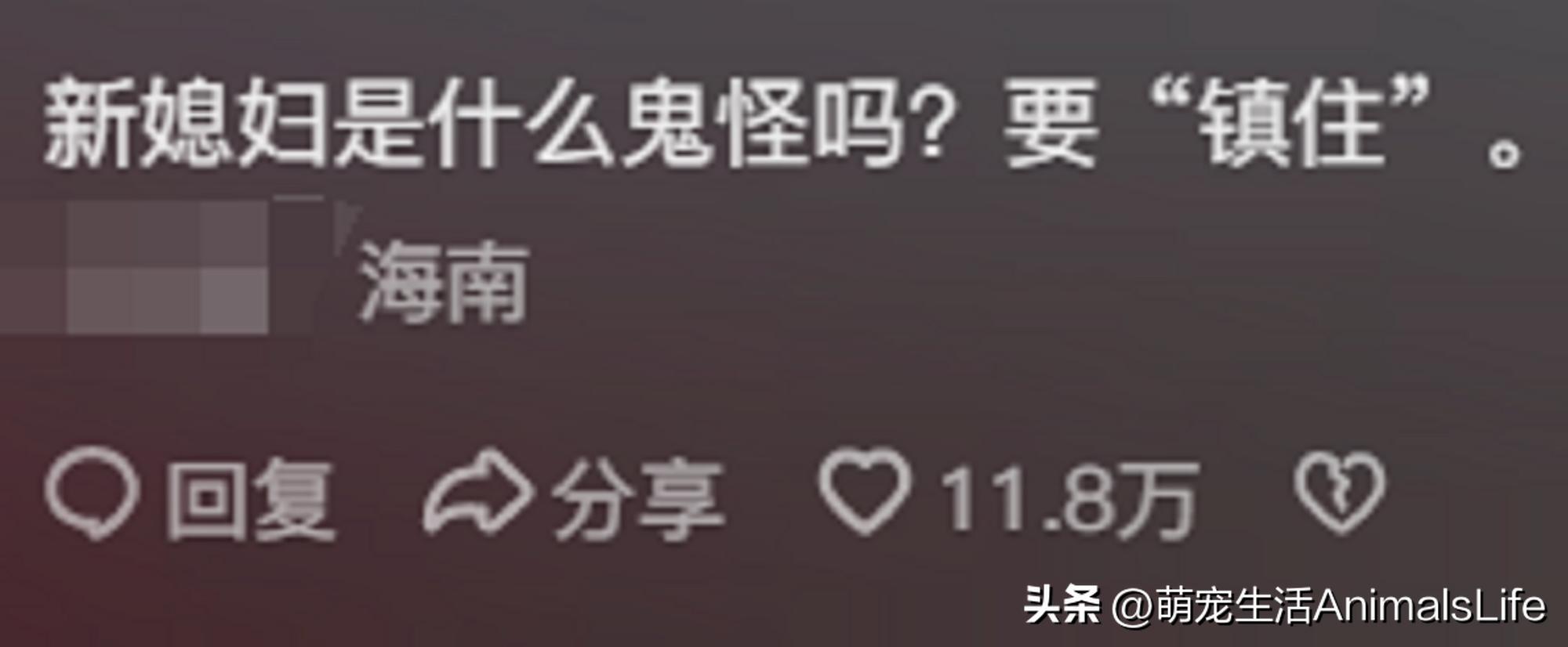 恐怖婚礼的习俗_恐怖婚礼电影_恐怖的婚礼的视频