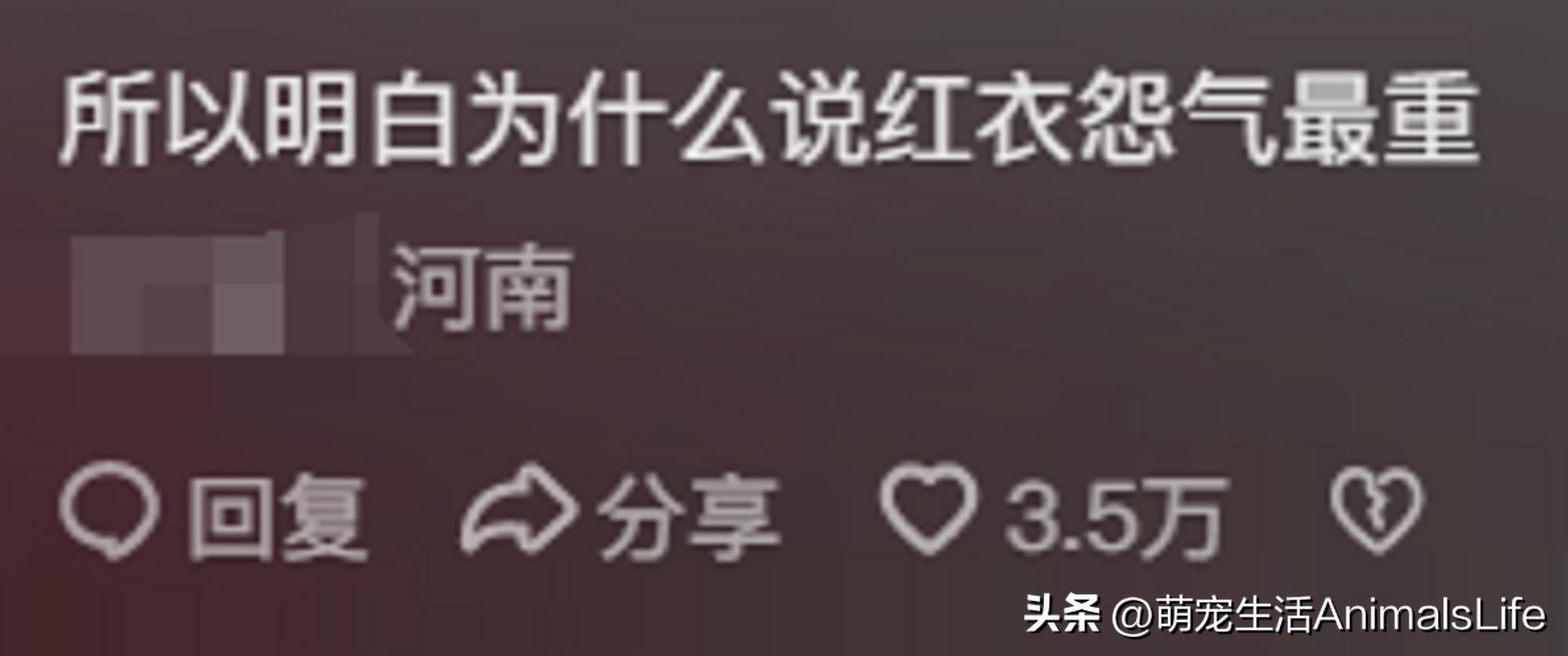 恐怖的婚礼的视频_恐怖婚礼电影_恐怖婚礼的习俗