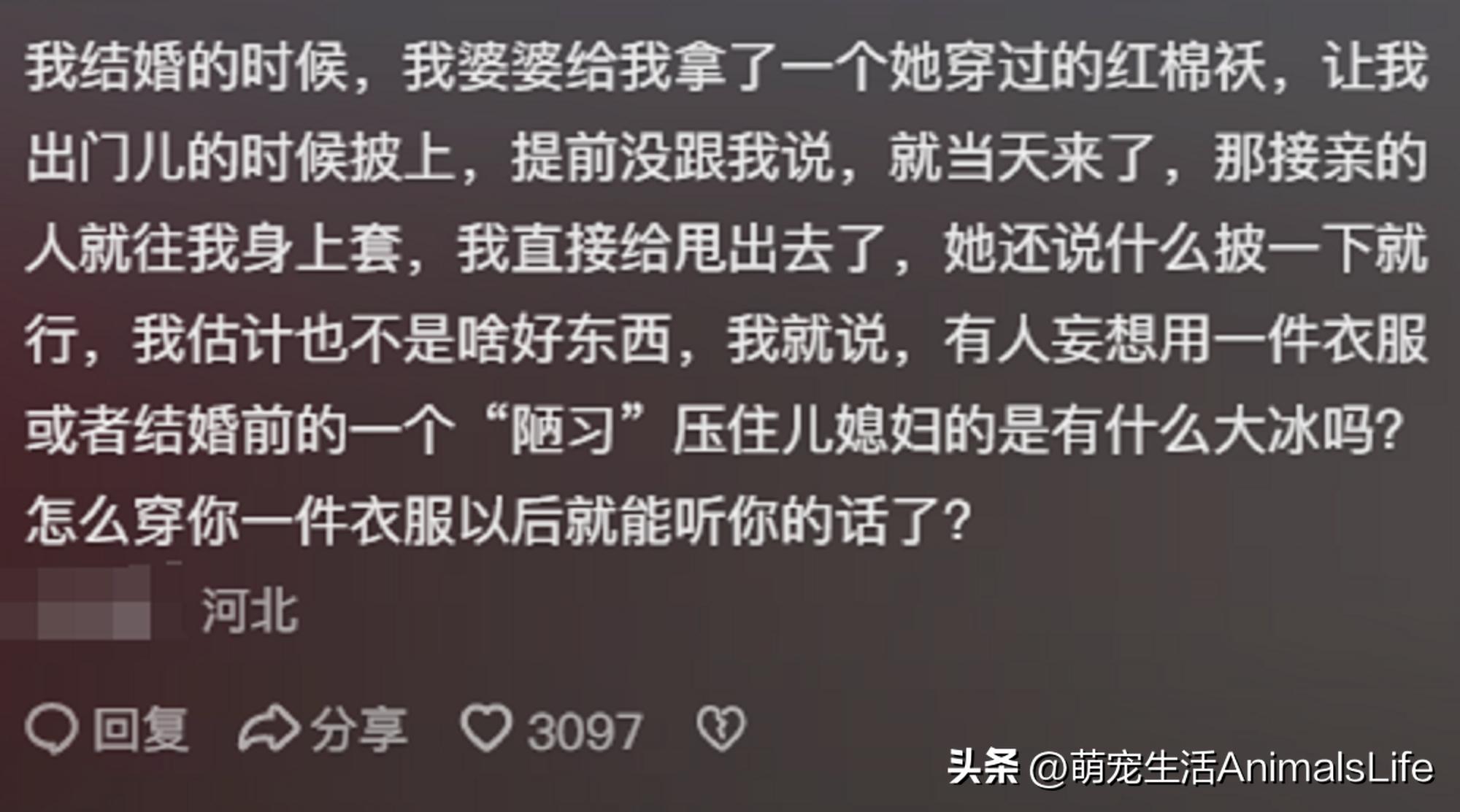 恐怖婚礼的习俗_恐怖婚礼电影_恐怖的婚礼的视频