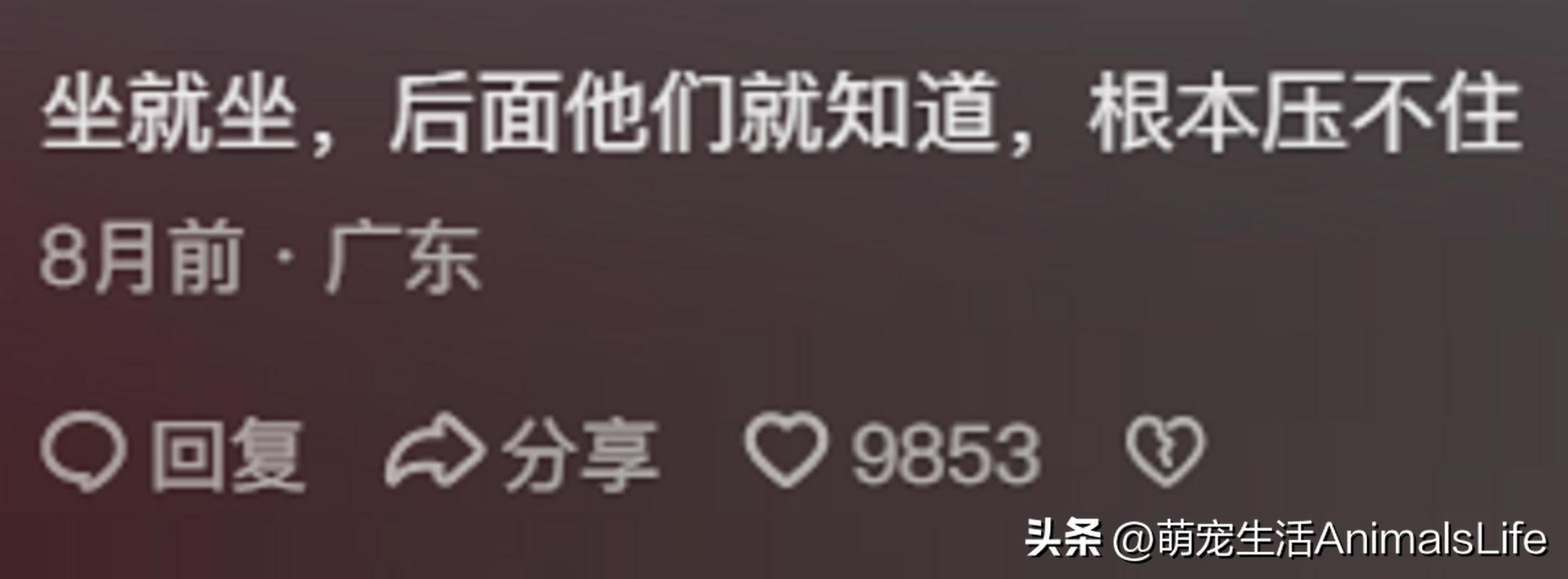 恐怖婚礼的习俗_恐怖婚礼电影_恐怖的婚礼的视频