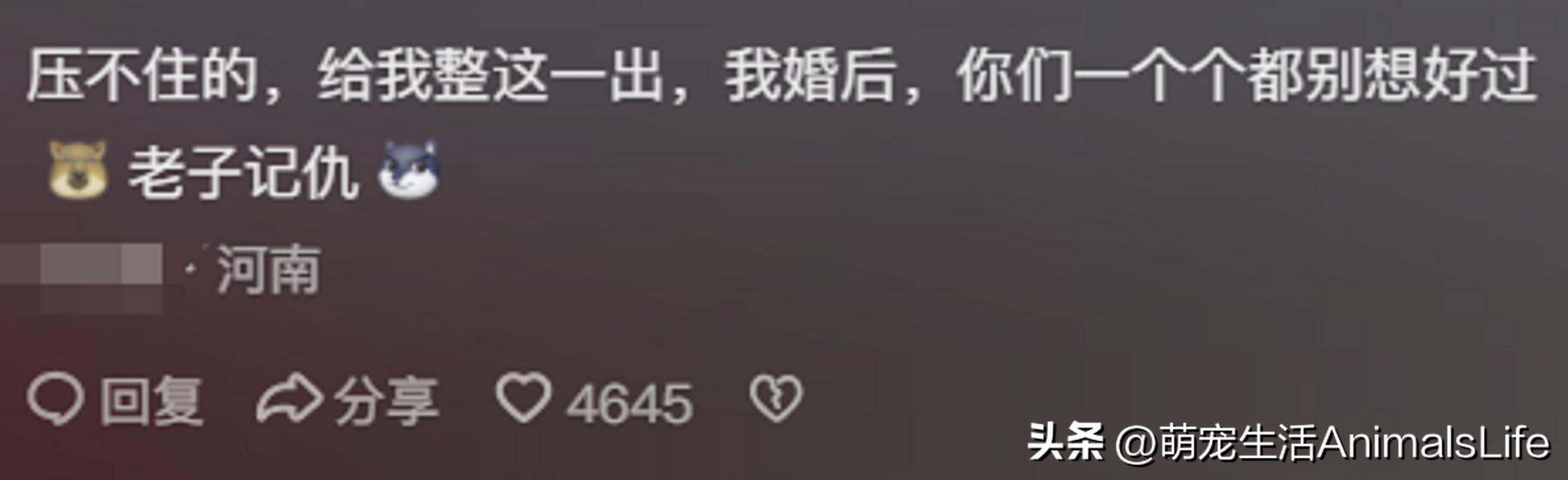 恐怖婚礼的习俗_恐怖的婚礼的视频_恐怖婚礼电影