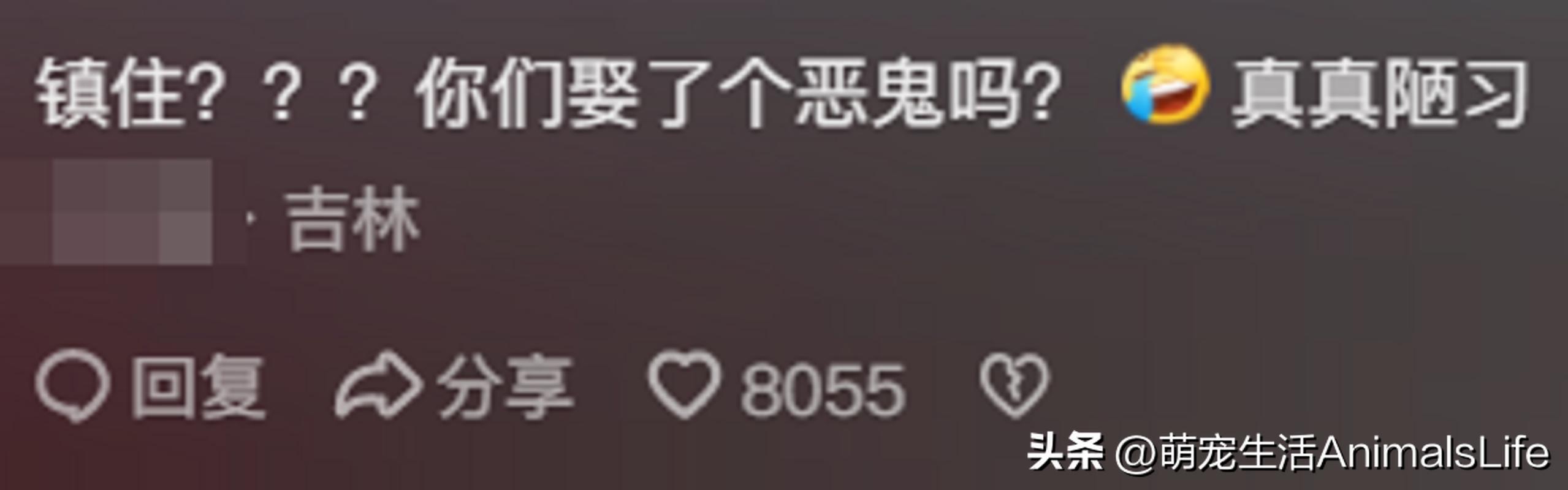 恐怖的婚礼的视频_恐怖婚礼的习俗_恐怖婚礼电影