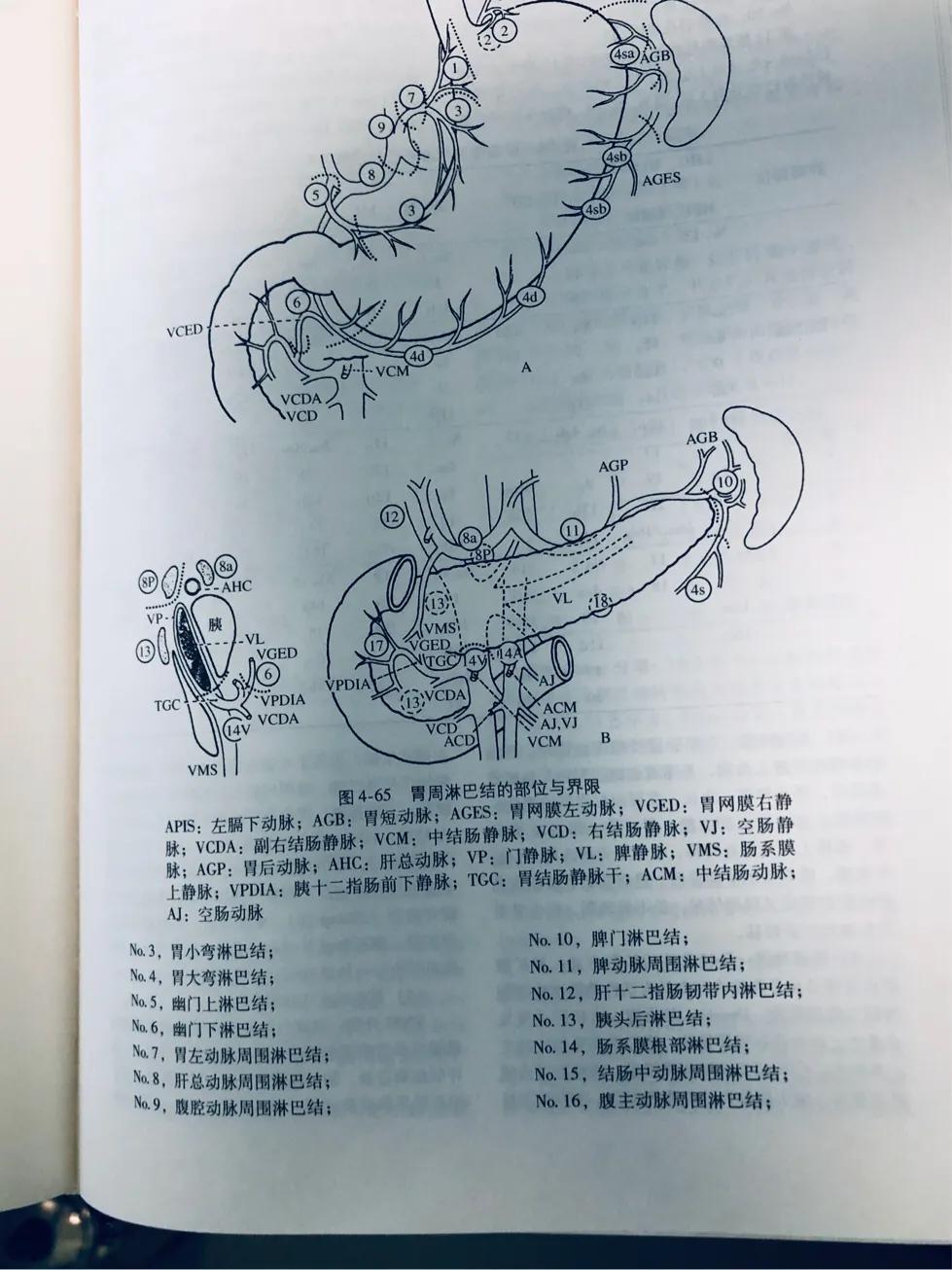 餐营营养患者胃癌能治愈吗_胃癌营养不良发生率_嗯胃癌患者营营养餐