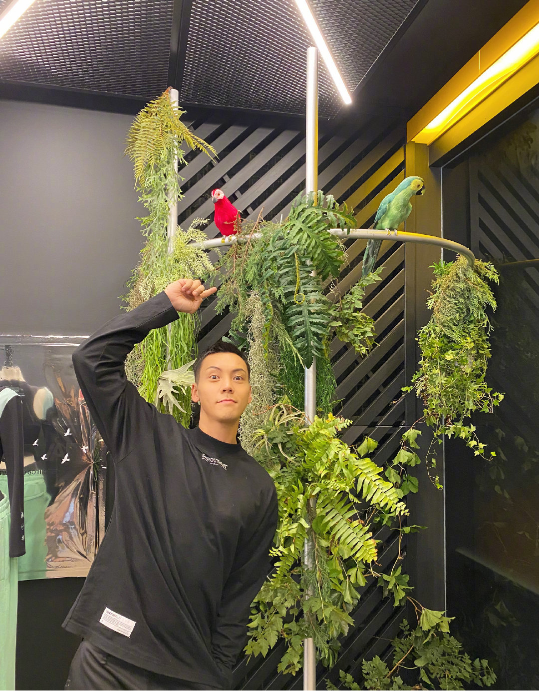 何穗明星健身房_何穗健身荷尔蒙_何穗 健身