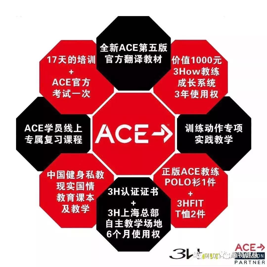 青岛健身房私教价格_青岛私教健身房_青岛私教健身工作室