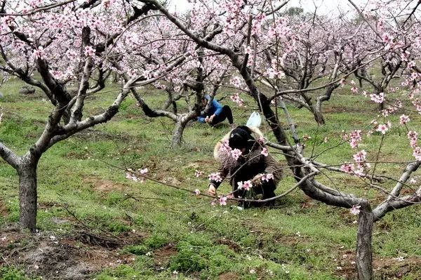 民俗婚庆济源介绍文案_济源婚庆民俗介绍_济源婚庆公司哪个比较好